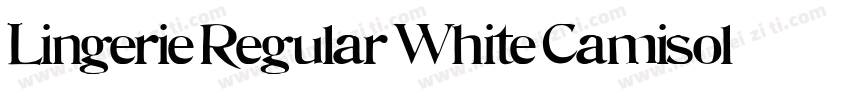 Lingerie Regular White Camisole字体转换